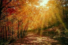 chemin avent